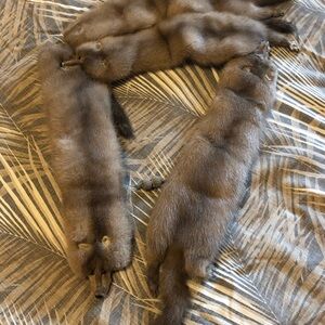 Mink stole from the 60’s…not worn very much…just been hanging in the closet.